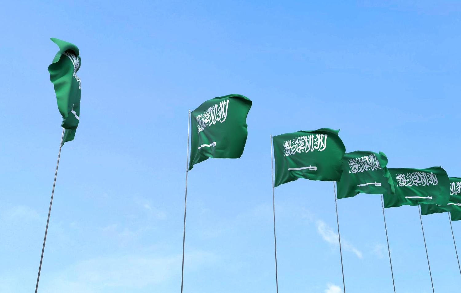 Saudi Expansion